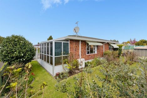 Photo of property in 151b Boucher Avenue, Te Puke, 3119