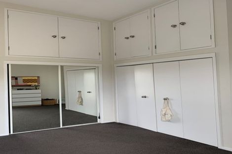 Photo of property in 8a Madeira Lane, Grafton, Auckland, 1023