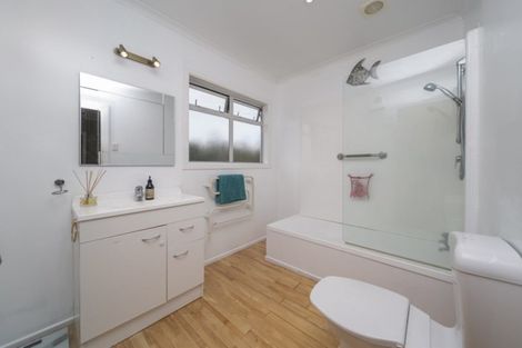 Photo of property in 31 Brecon Road, Stratford, 4332