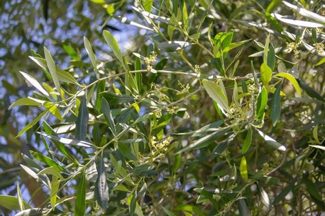 Photo of property in 178 Main Street, Greytown, 5712