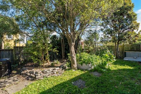 Photo of property in 11 Cardall Street, Newtown, Wellington, 6021