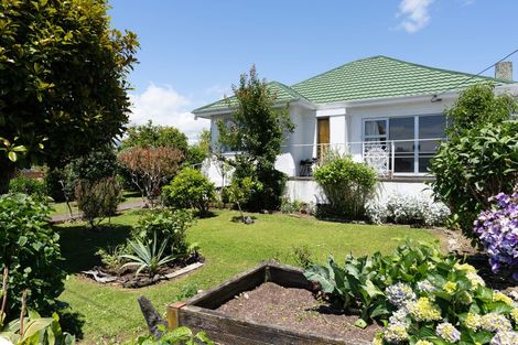 Photo of property in 186 Bath Street, Levin, 5510