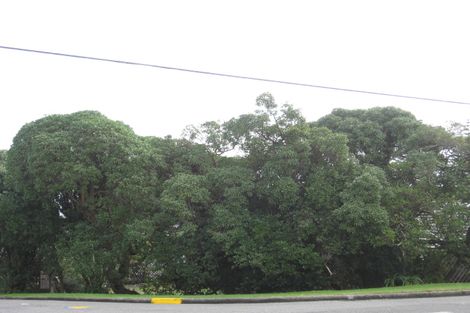 Photo of property in 213 Rosetta Road, Raumati South, Paraparaumu, 5032