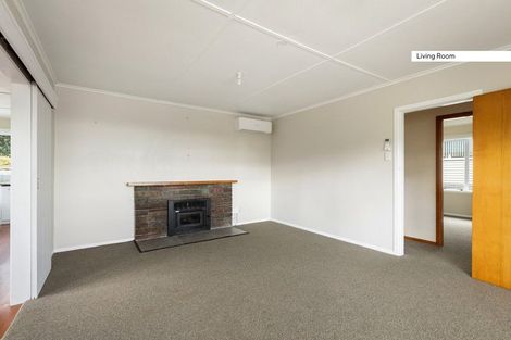 Photo of property in 205 Mill Street, Thames, 3500