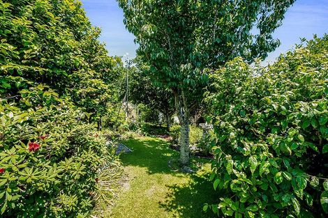 Photo of property in 33 Rogan Street, New Plymouth, 4310