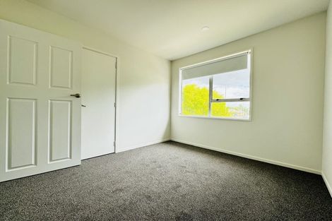 Photo of property in 58 Grimseys Road, Redwood, Christchurch, 8051