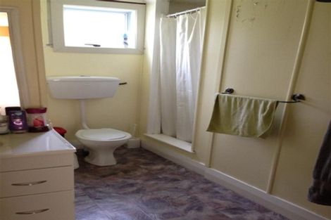 Photo of property in 17 Woodhaugh Street, Woodhaugh, Dunedin, 9010