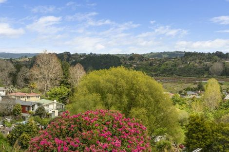 Photo of property in 40b Manson Street, Gate Pa, Tauranga, 3112