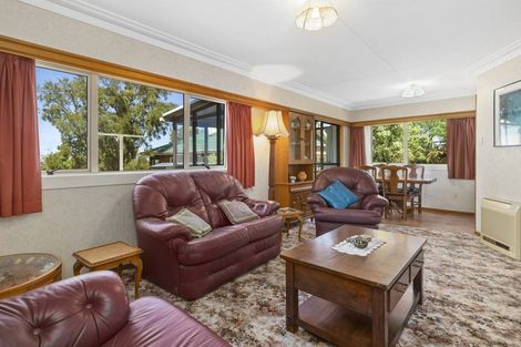 Photo of property in 53 English Avenue, Mornington, Dunedin, 9011