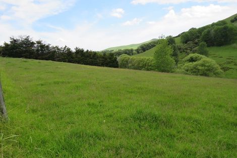 Photo of property in 244 Tinopai Road, Matakohe, 0593