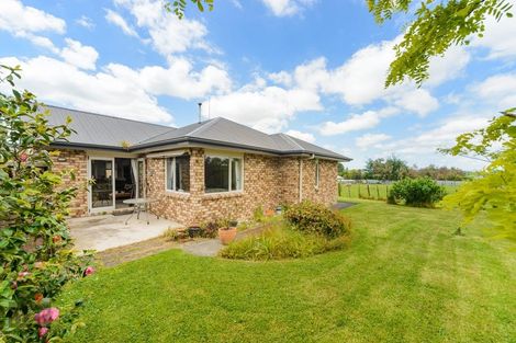 Photo of property in 26 Ursula Drive, Feilding, 4702