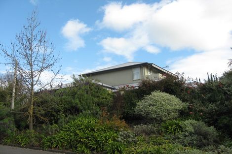 Photo of property in 19 Gillean Street, Havelock North, 4130