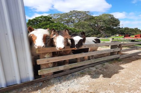 Photo of property in 123 Ahuroa Road, Waipu, 0582