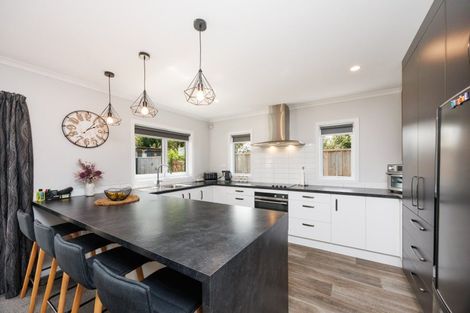 Photo of property in 15b Chamberlain Street, Feilding, 4702