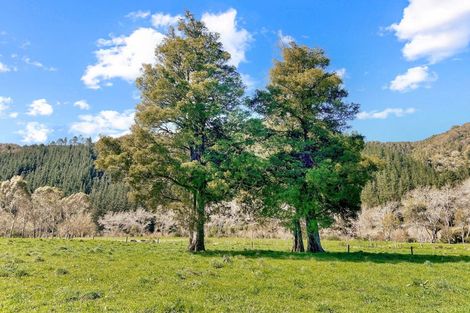 Photo of property in Otara Road East, Tirohanga, Opotiki, 3197