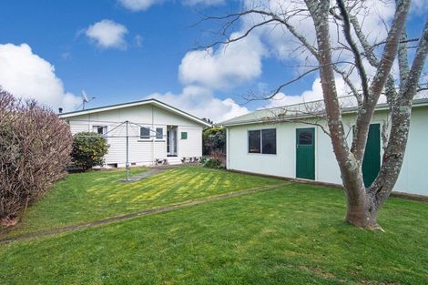 Photo of property in 18 Daniell Street, Solway, Masterton, 5810