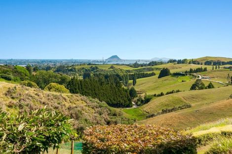 Photo of property in 457 Ohauiti Road, Ohauiti, Tauranga, 3112