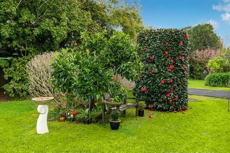 Photo of property in 22 Brandon Road, Glen Eden, Auckland, 0602