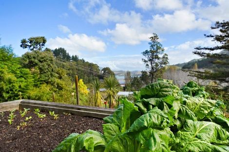 Photo of property in 17 Tawhiti Street, Tokomaru Bay, 4079