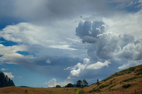 Photo of property in 81b Mcmillan Road, Tahawai, Katikati, 3170