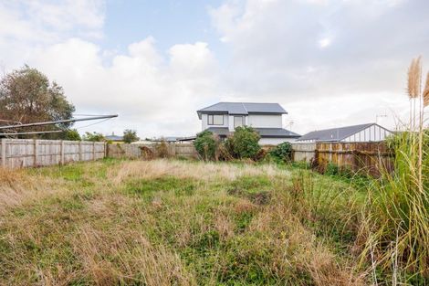Photo of property in 24a Tyne Street, Roslyn, Palmerston North, 4414