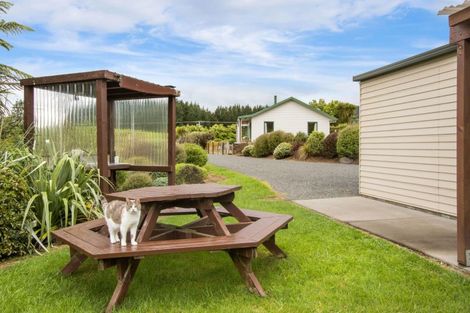 Photo of property in 4 Franklin Road, Waihi, 3682