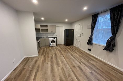 Photo of property in 17 Tory Street, Petone, Lower Hutt, 5012