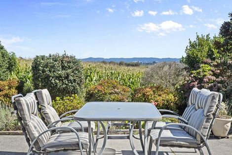 Photo of property in 17 Sunny Dale, Western Heights, Hamilton, 3200