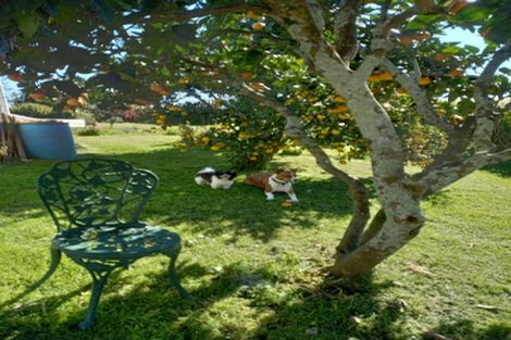 Photo of property in 49 Spencer Avenue, Maketu, Te Puke, 3189