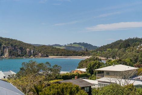 Photo of property in 12 Panorama Avenue, Ferry Landing, Whitianga, 3591