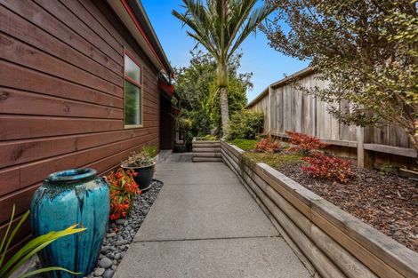 Photo of property in 55 Waiewe Street, Whakatane, 3120