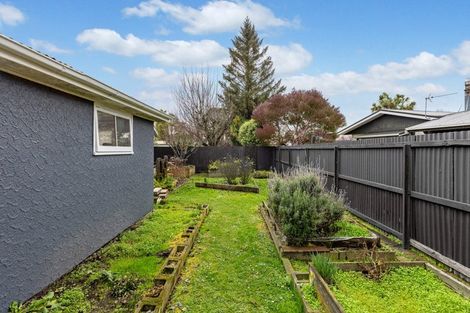 Photo of property in 43 Stackhouse Avenue, Bishopdale, Christchurch, 8053