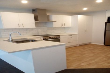 Photo of property in 169 Carroll Street, Dunedin Central, Dunedin, 9016