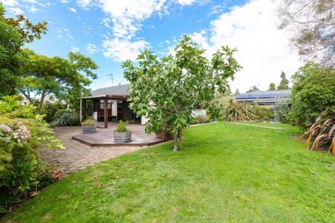 Photo of property in 17 Buick Street, Redwoodtown, Blenheim, 7201