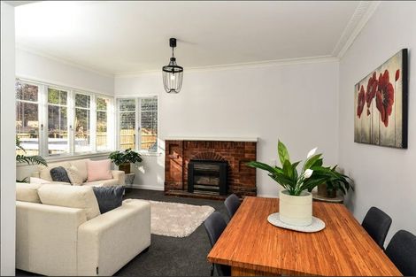 Photo of property in 245a Peachgrove Road, Fairfield, Hamilton, 3214