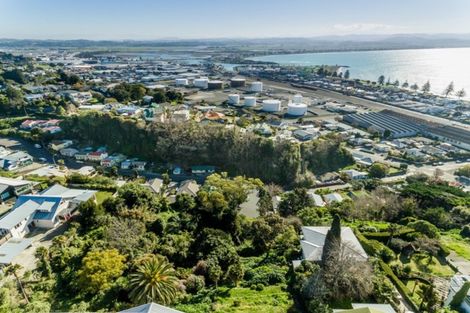 Photo of property in 24 Roslyn Road, Bluff Hill, Napier, 4110
