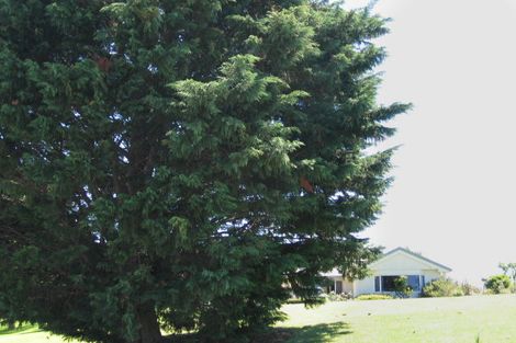 Photo of property in 385 Nelson Road, Riverdale, Gisborne, 4010