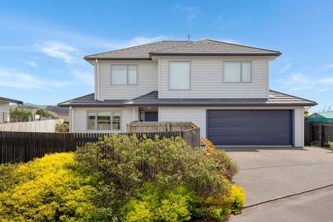 Photo of property in 14 Montego Place, Grenada Village, Wellington, 6037