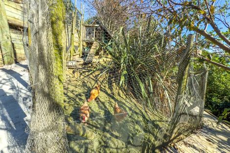 Photo of property in 848b Thames Coast Sh25 Road, Tapu, Thames, 3575