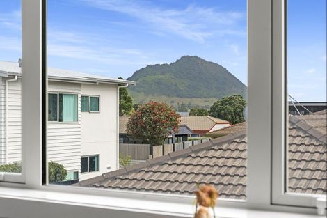 Photo of property in 8 Terrace Avenue, Mount Maunganui, 3116