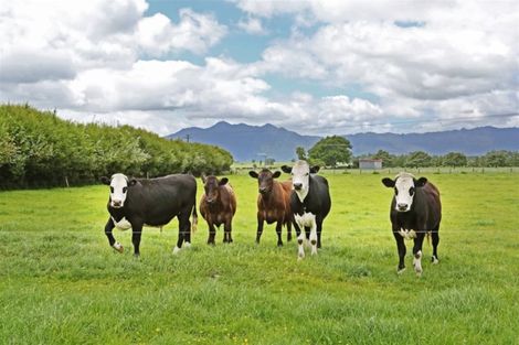 Photo of property in 392 Ngarua Road, Waitoa, 3380