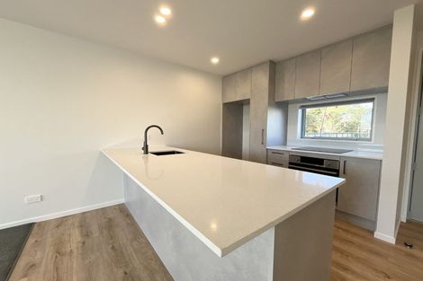 Photo of property in 2/45 Grafton Street, Waltham, Christchurch, 8011