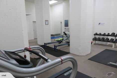 Photo of property in The Silo Apartments, 9g/23 Emily Place, Auckland Central, Auckland, 1010