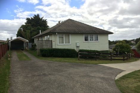 Photo of property in 100 Wilson Street, Te Awamutu, 3800
