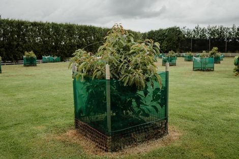 Photo of property in 728 No 1 Road, Te Puke, 3182