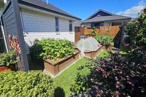 Photo of property in 15 Layla Place, Katikati, 3178