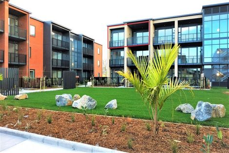 Photo of property in 205/38b Fraser Avenue, Northcote, Auckland, 0627