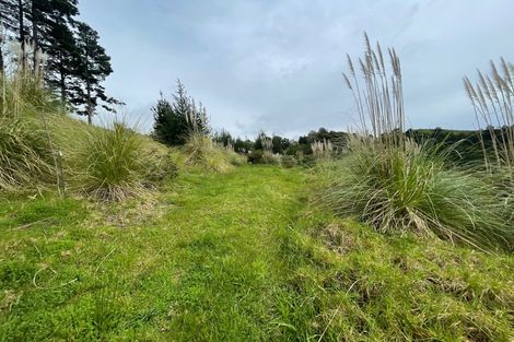 Photo of property in 609a Bickerstaffe Road, Maungaturoto, 0587