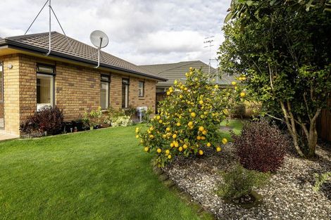 Photo of property in 11 Homewood Avenue, Levin, 5510