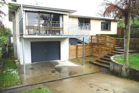 Photo of property in 58 Overdale Street, Putaruru, 3411